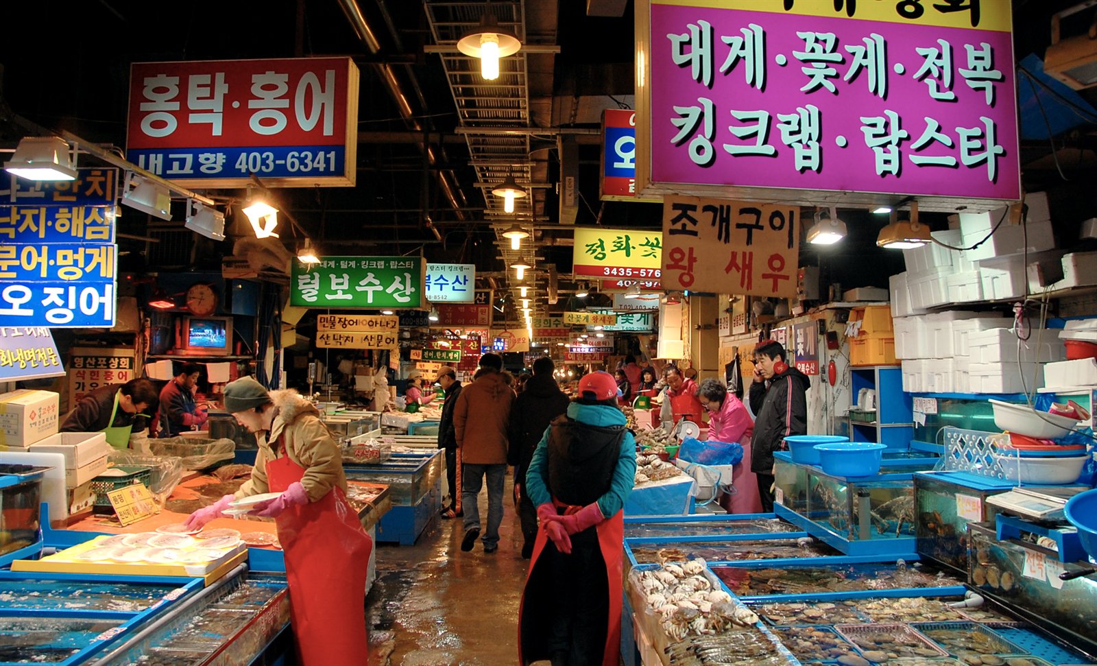 Seafood displayed at Garak Fish Market in Seoul