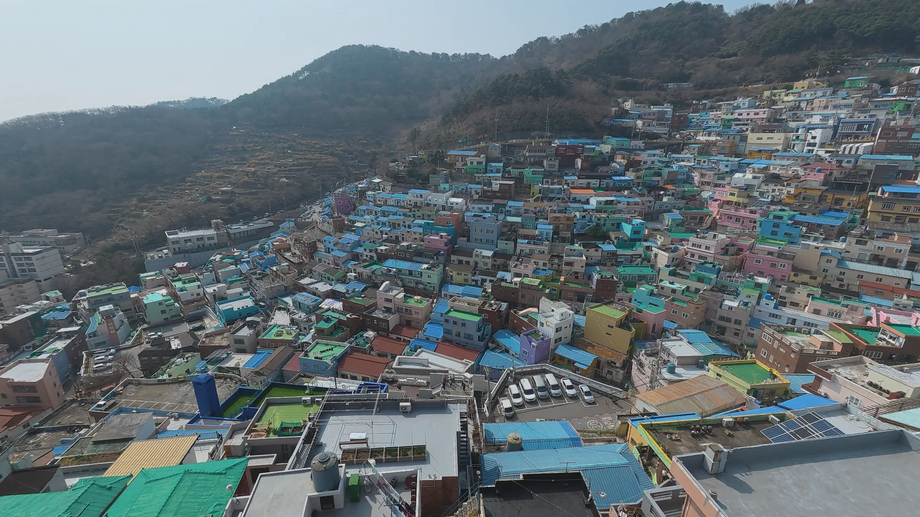 Wide hillside view of colorful houses in Gamcheon Culture Village in Busan.