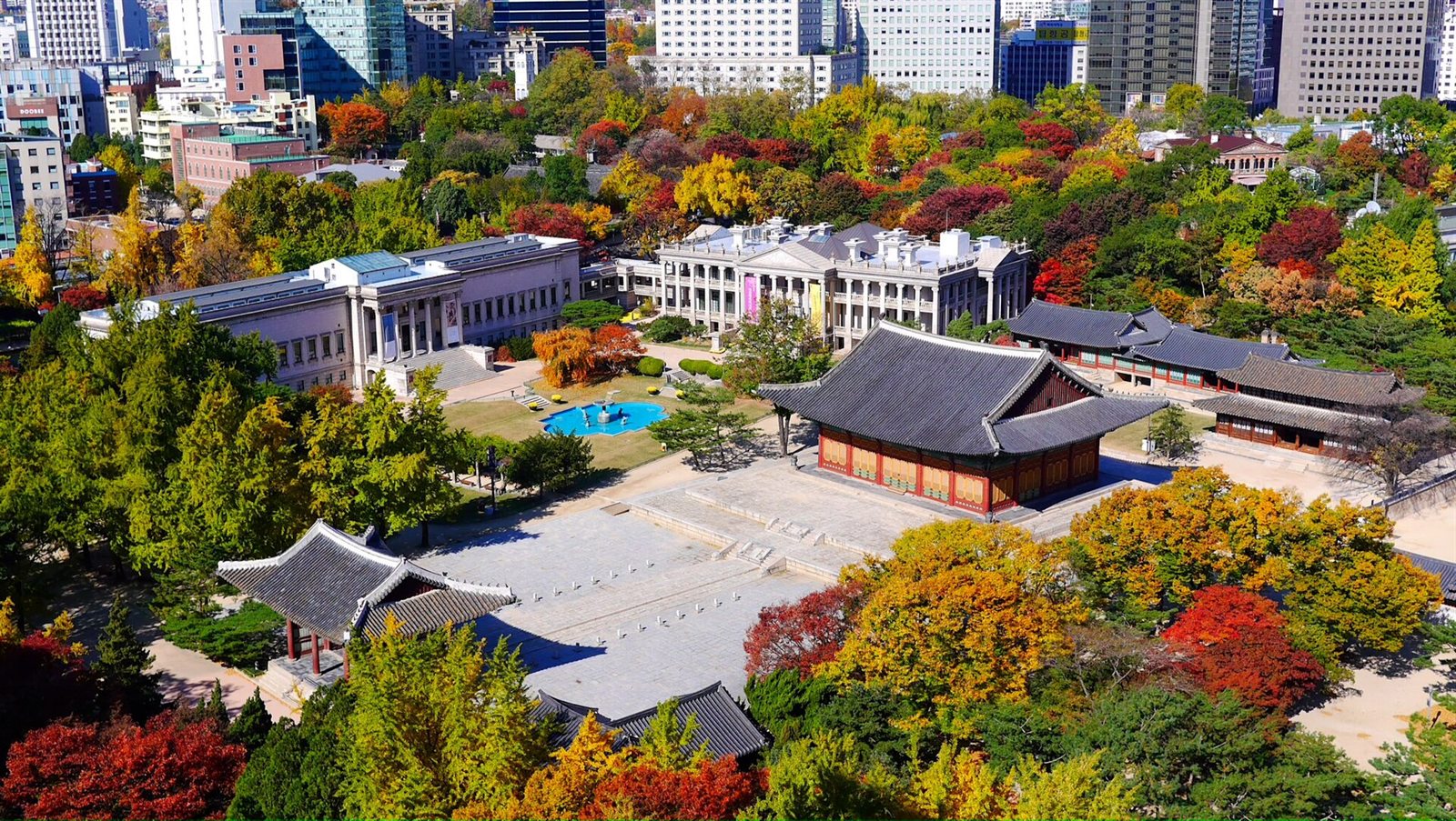 Autumn trees and palace wall scenery at Deoksugung Palace
