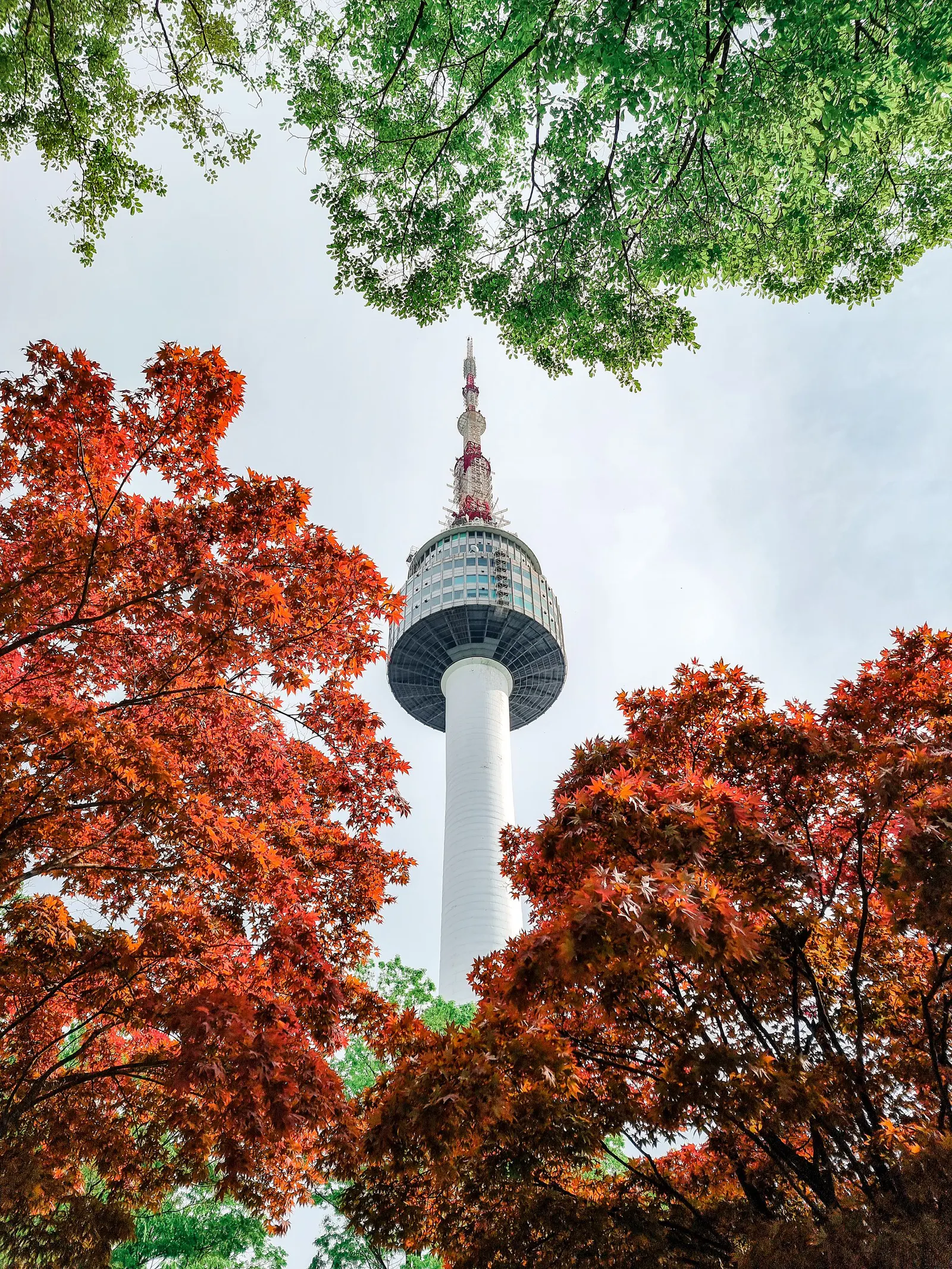 N Seoul Tower rising above colorful autumn foliage on Namsan Mountain