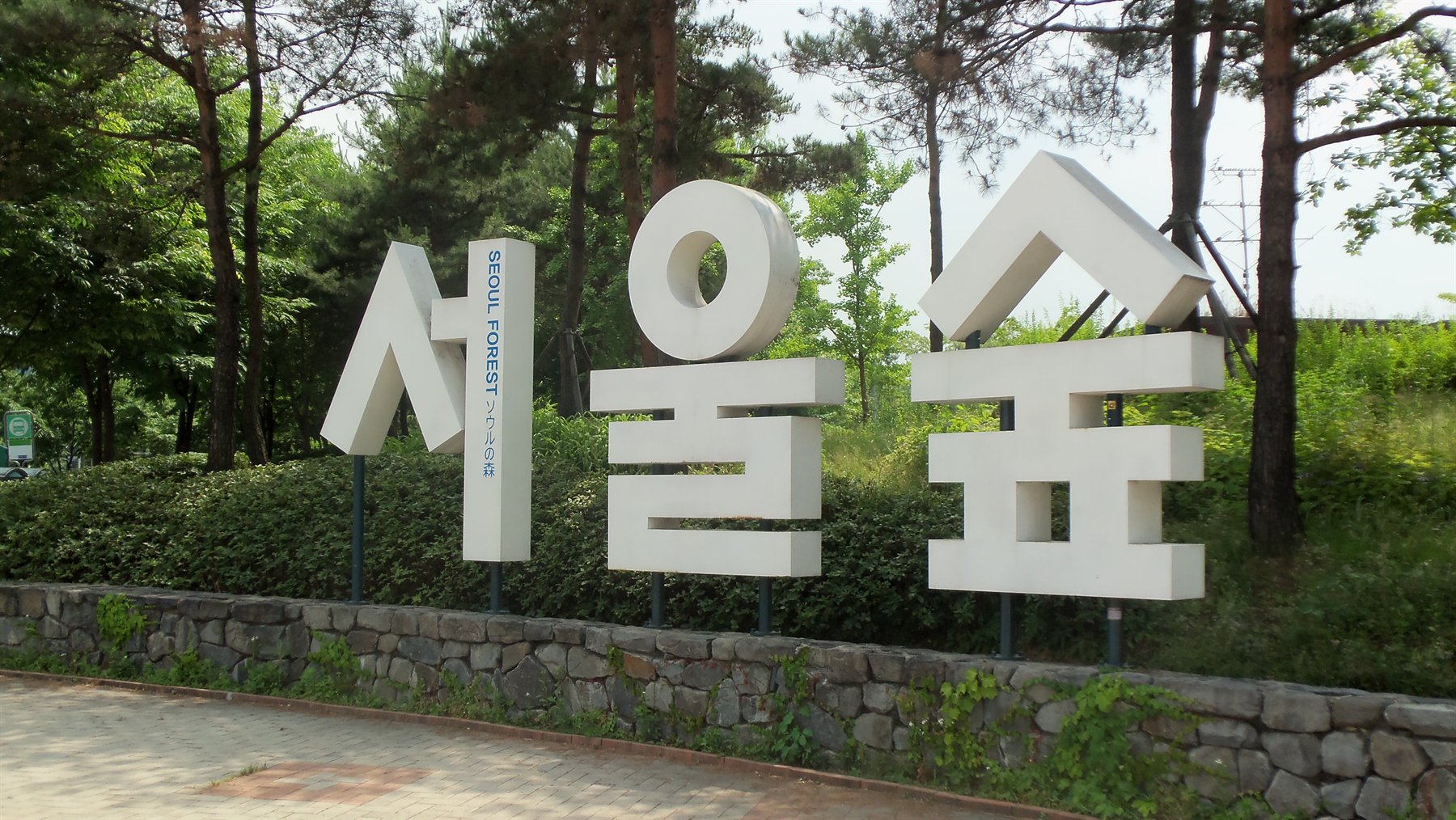 Open lawn and trees in Seoul Forest