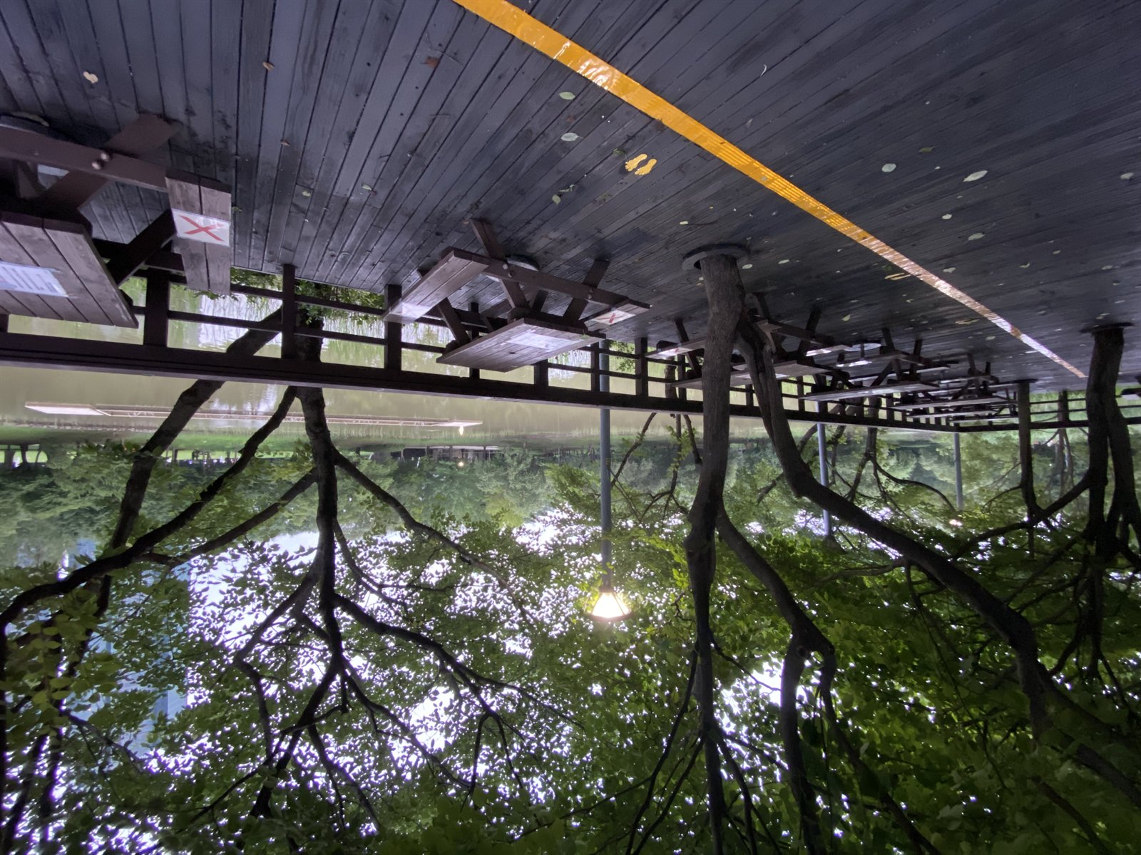 Wooden boardwalk and tables in Seoul Forest