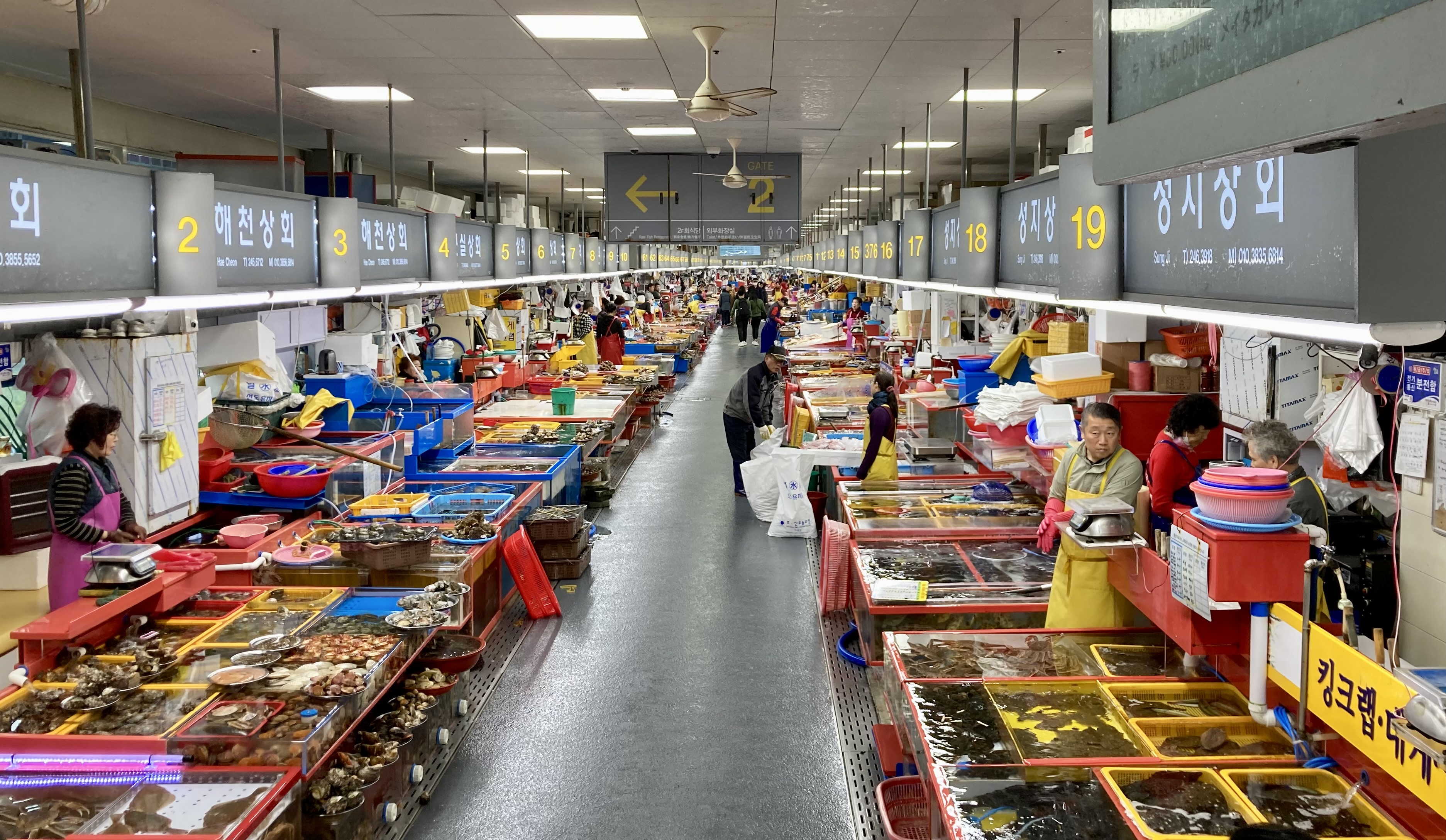 Seafood stalls inside Jagalchi Fish Market in Busan