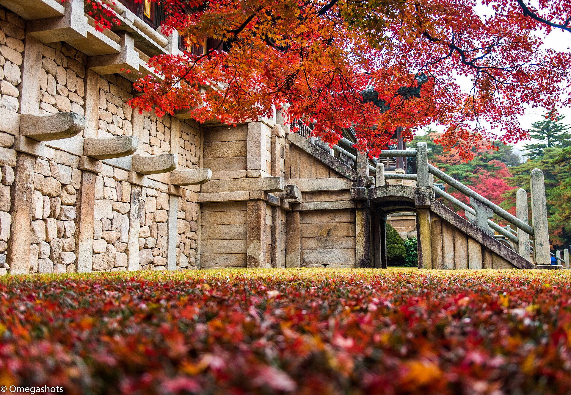 Bulguksa Temple surrounded by autumn foliage in Gyeongju