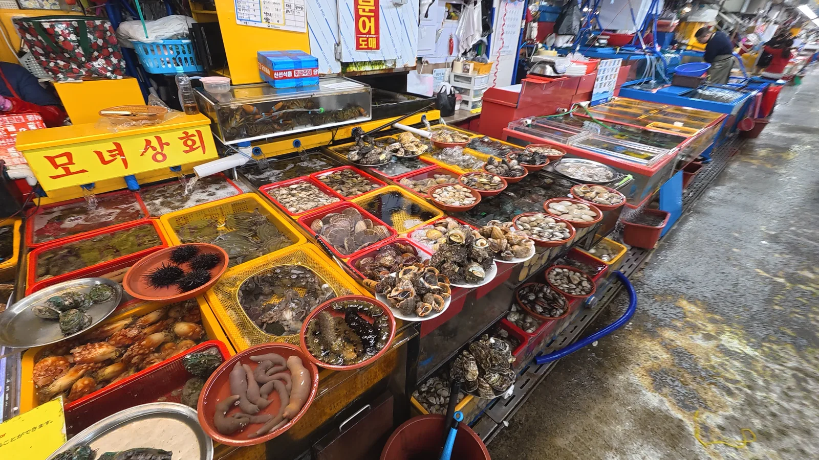 Seafood display at Jagalchi Market in Busan with shellfish, sea cucumbers, and tanks along the market walkway.