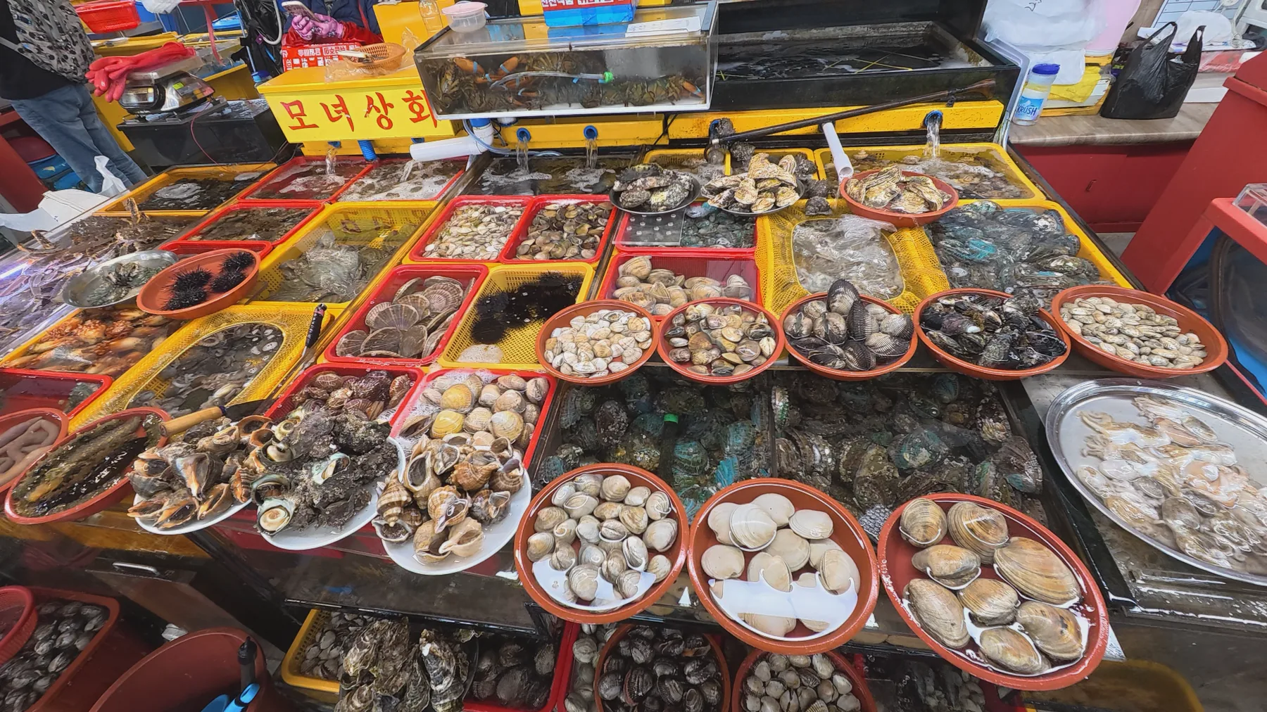 Fresh shellfish and seafood displayed at Jagalchi Market in Busan
