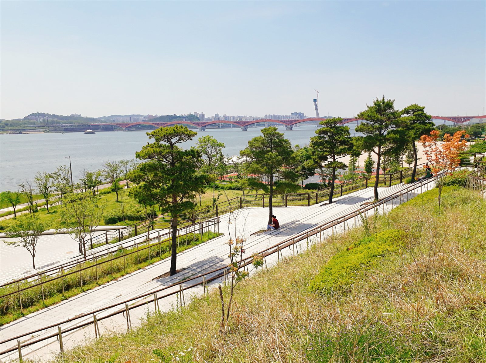 Mangwon Hangang Park with grass and the Han River in Seoul